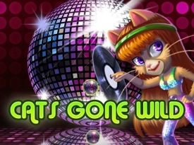 Cats gone wild