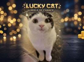 kitty_kot