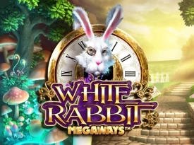 White Rabbit