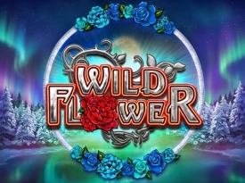 Wildflower